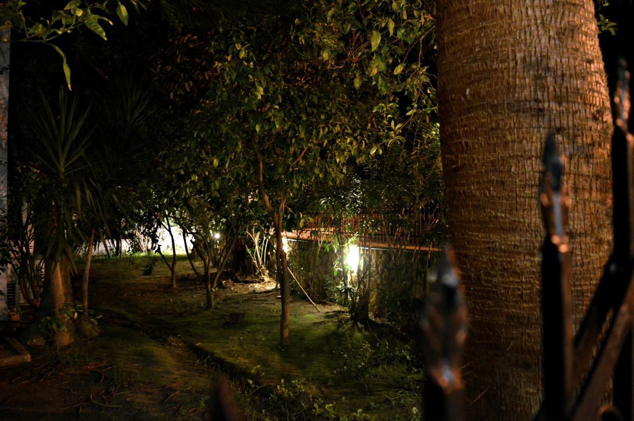 Paradise Beach Hotel Argassi Exterior foto