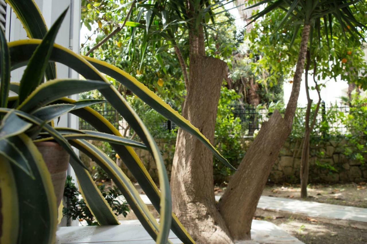Paradise Beach Hotel Argassi Exterior foto